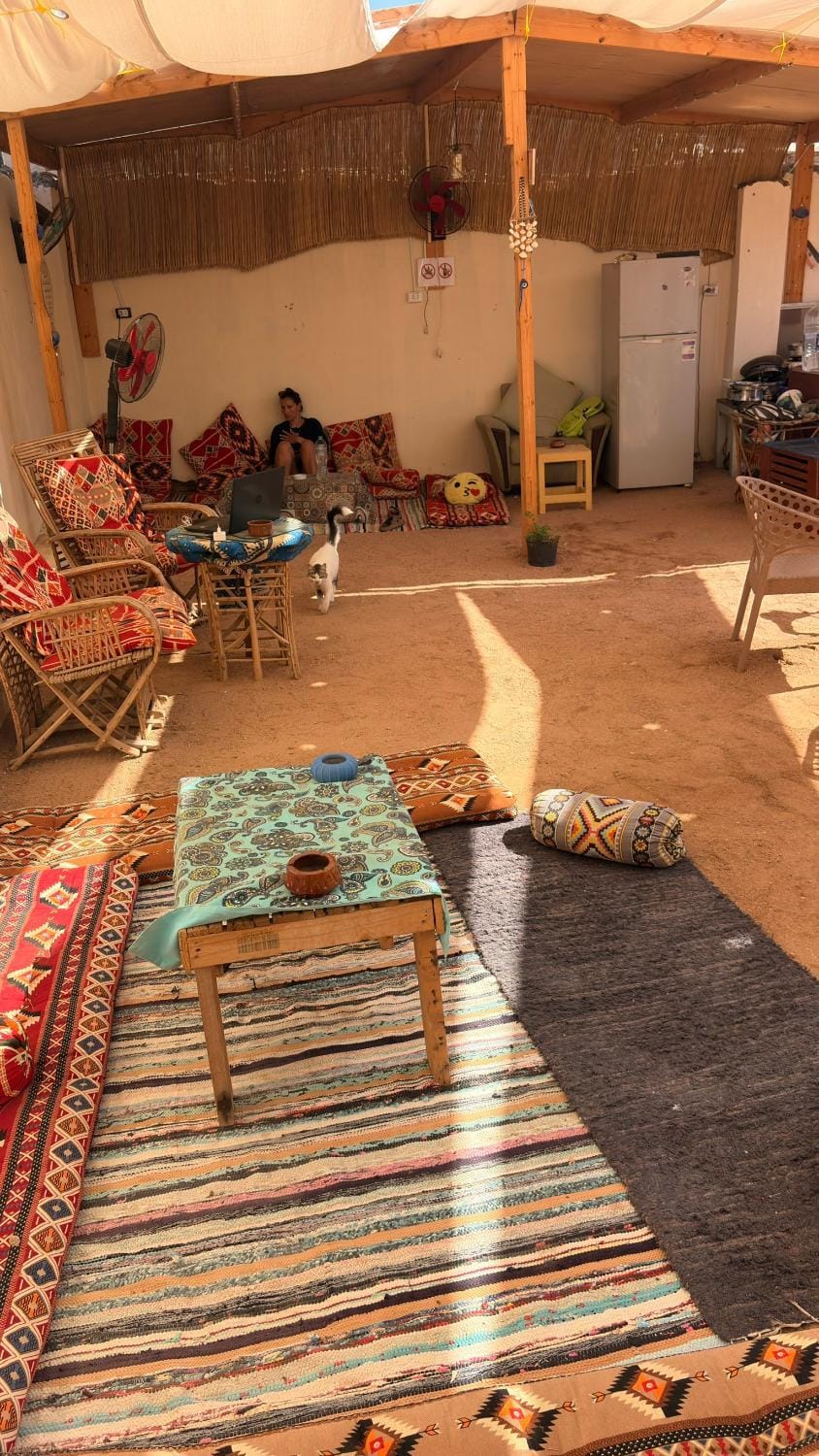 Patio, Day, Living room, Seating area, Dining area