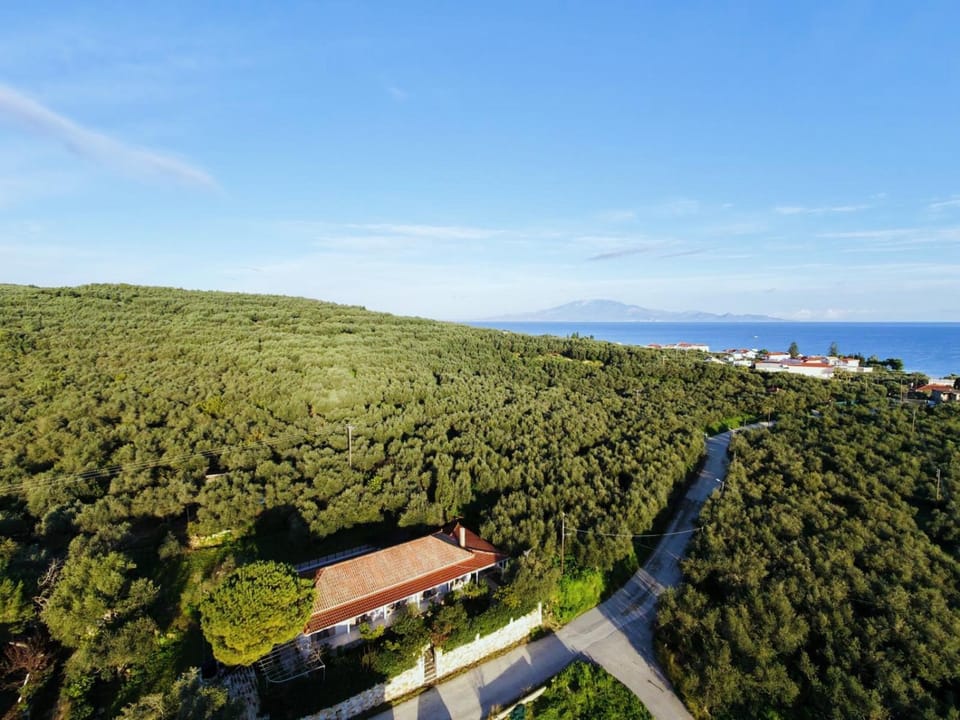 Garden, Sea view