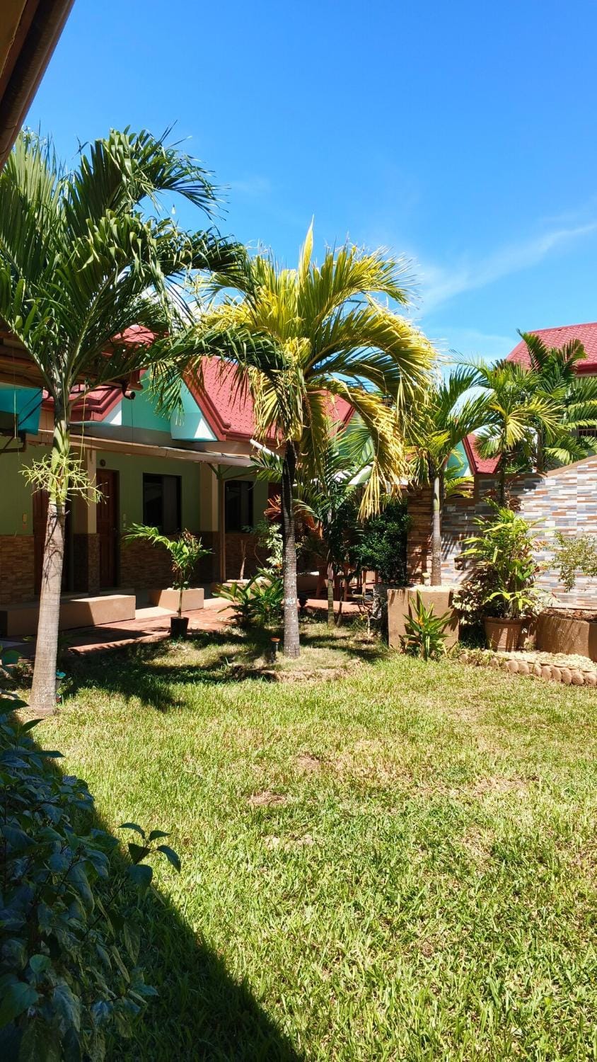 Property building, Day, Garden