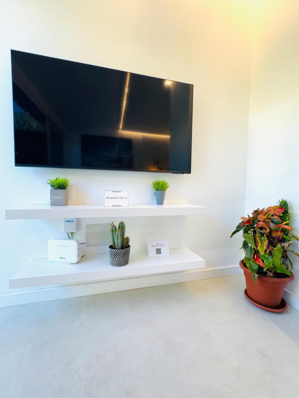 TV and multimedia