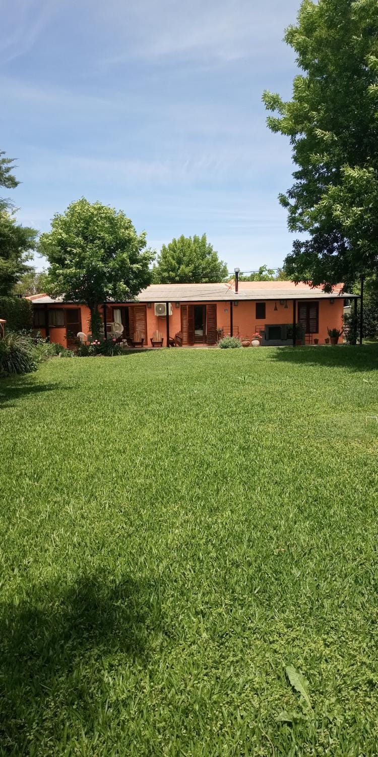 Property building, Garden view