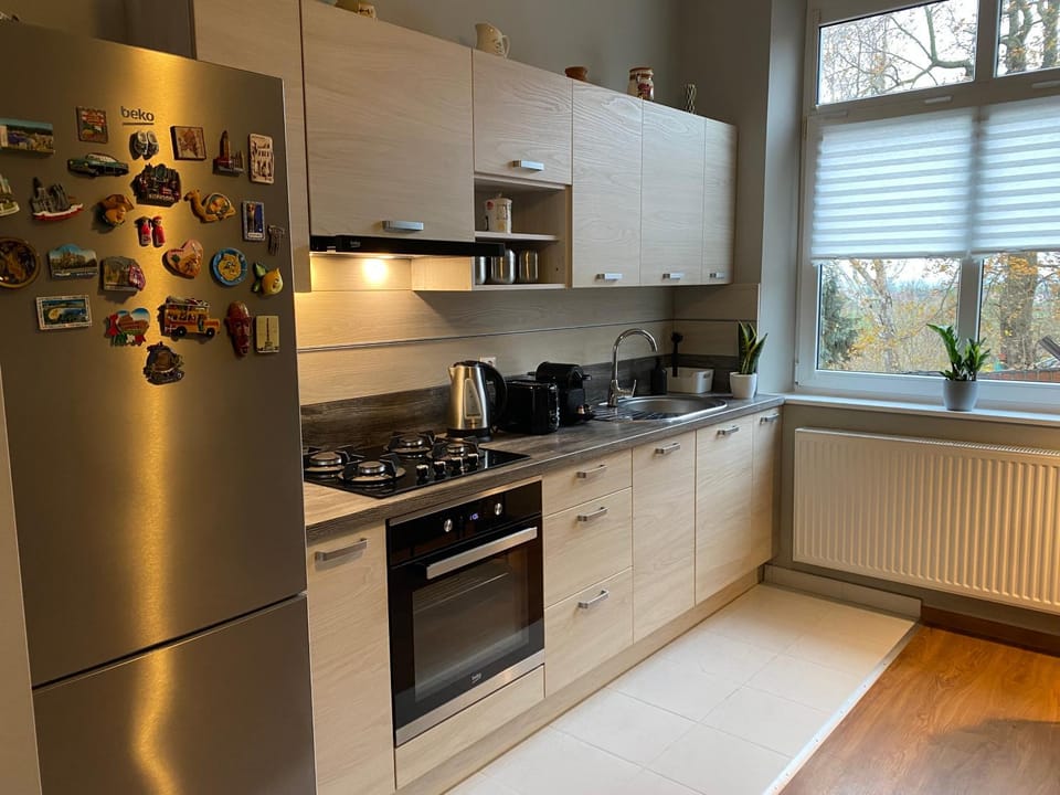 Kitchen or kitchenette, dishwasher