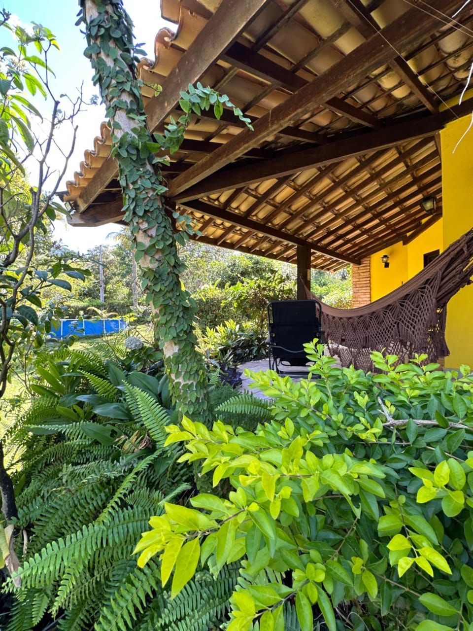 Patio, Balcony/Terrace