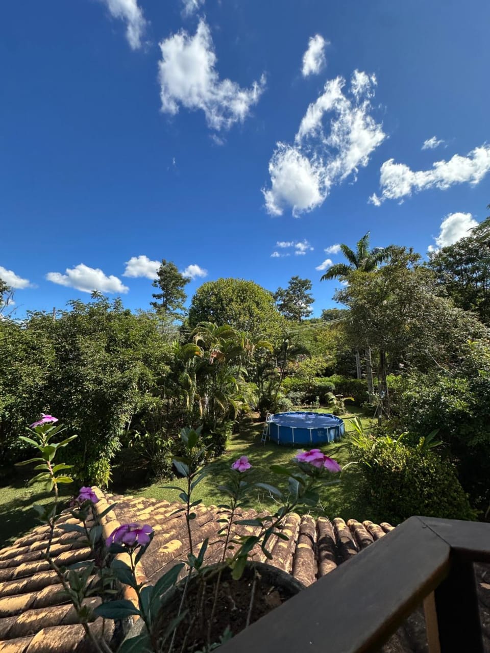 Garden view