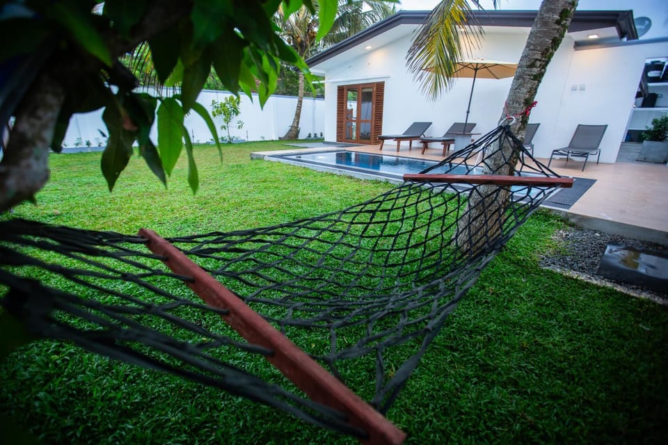 Property building, Patio, Natural landscape, Garden, Garden, Garden view, Pool view, Swimming pool, sunbed