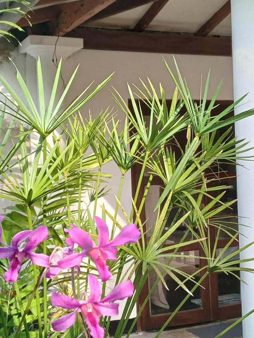 Sihe House Bed and Breakfast in Galle