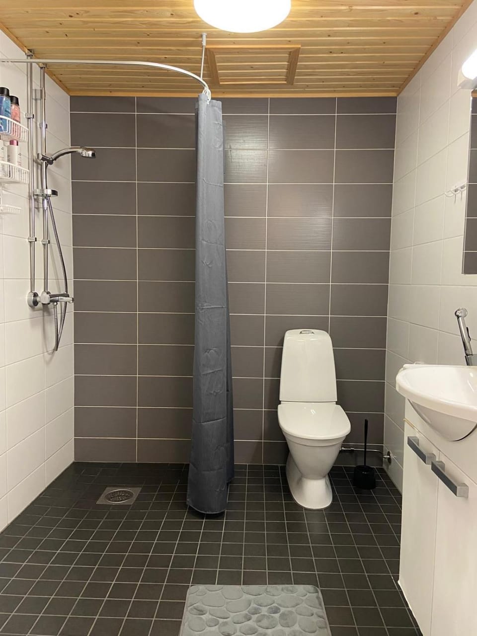 Shower, Toilet, Bathroom, bidet