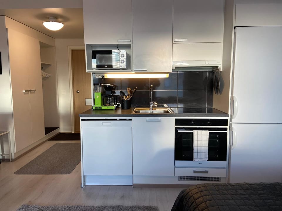 Kitchen or kitchenette, dishwasher, oven, stove