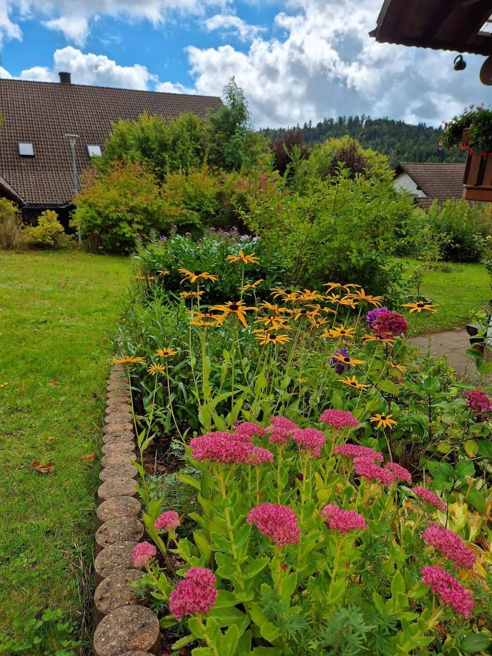 Garden view