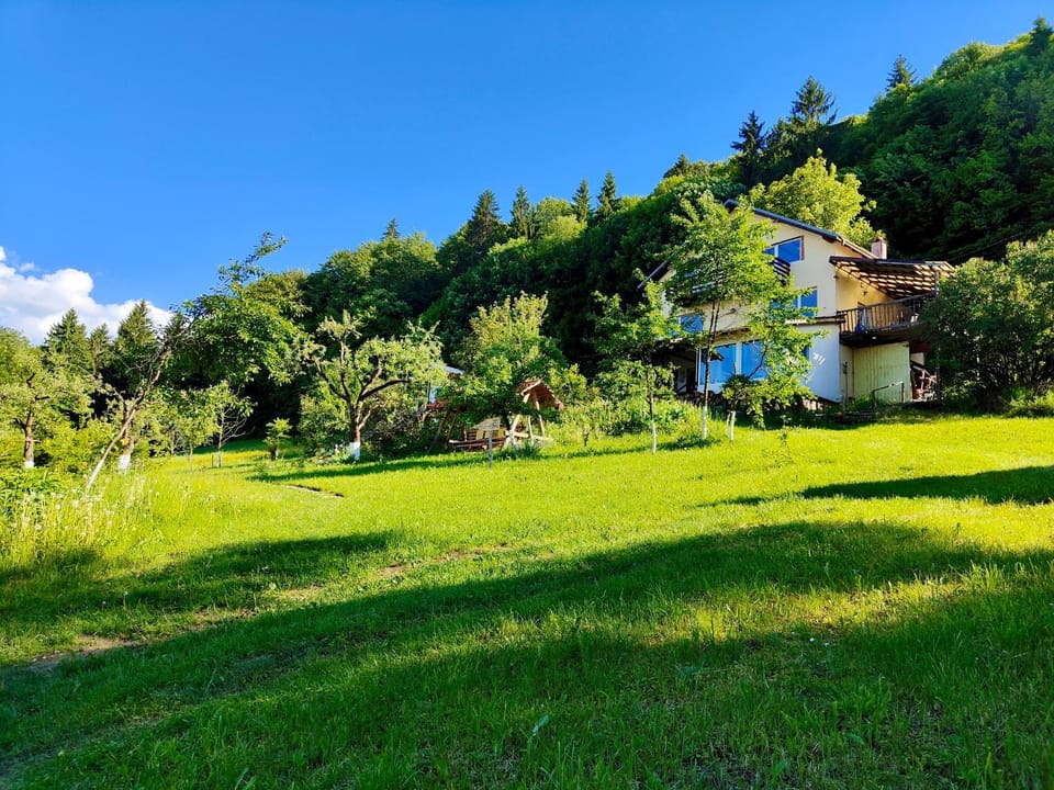 Casa De Sub Padure Bed and Breakfast in Bran