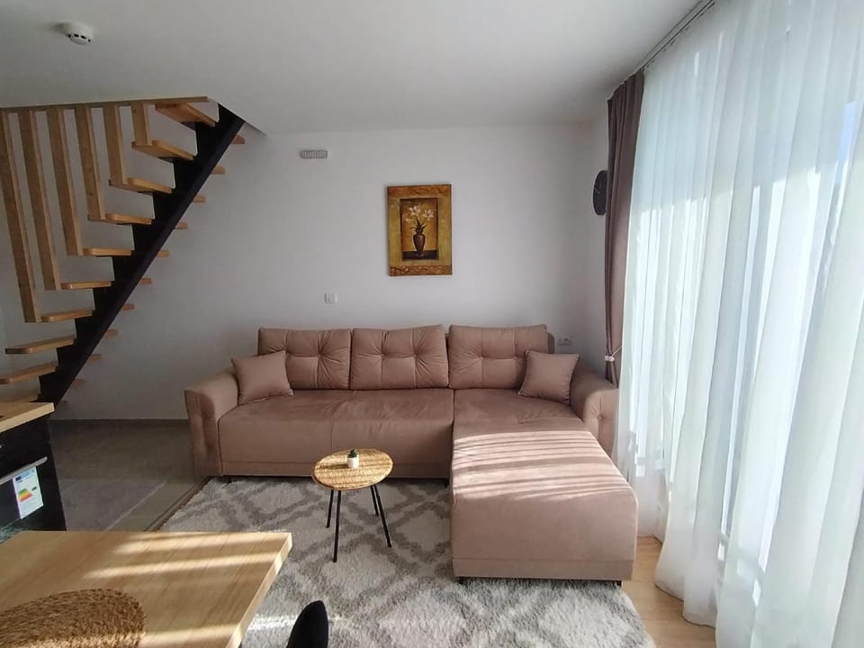 AlibiKopaonikSky32 Apartment in Serbia