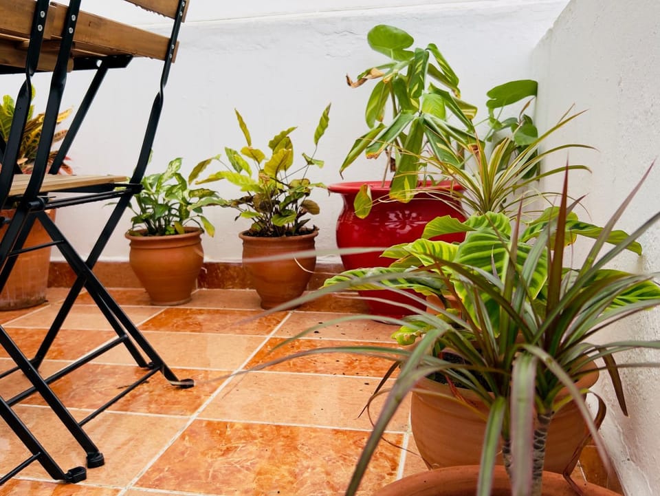Balcony/Terrace, Balcony/Terrace