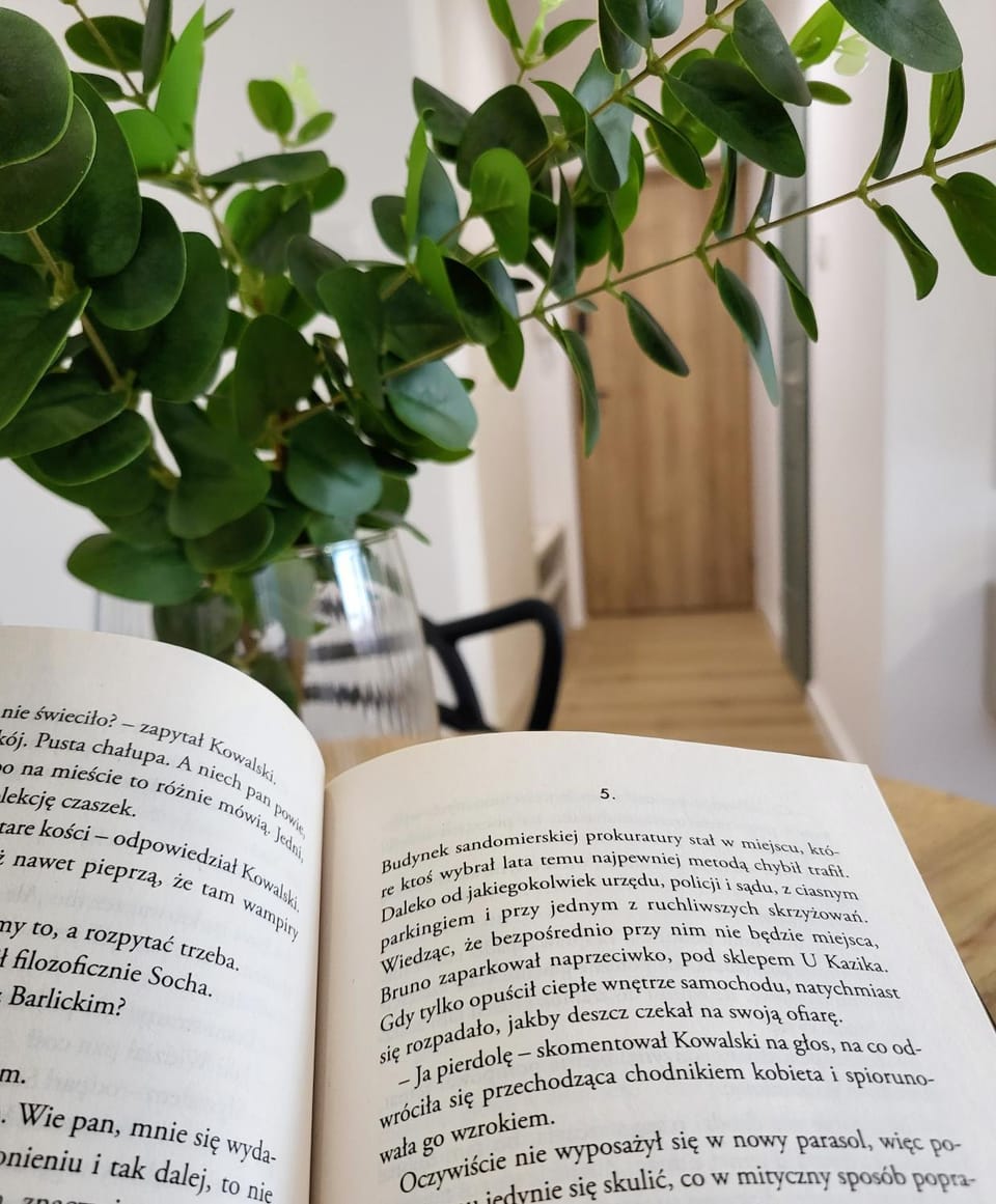 MoreLove II Apartment in Poland