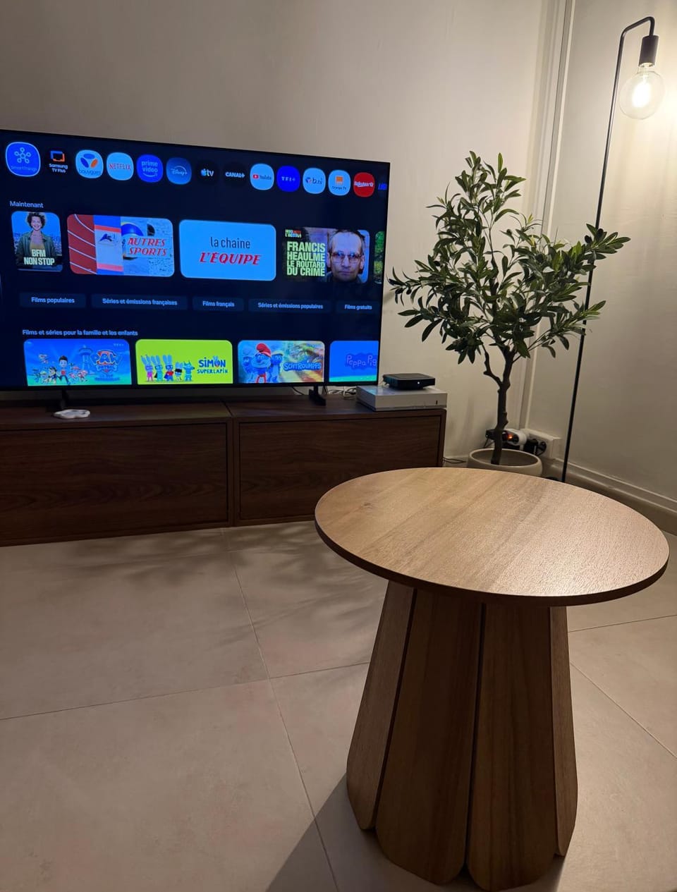 TV and multimedia