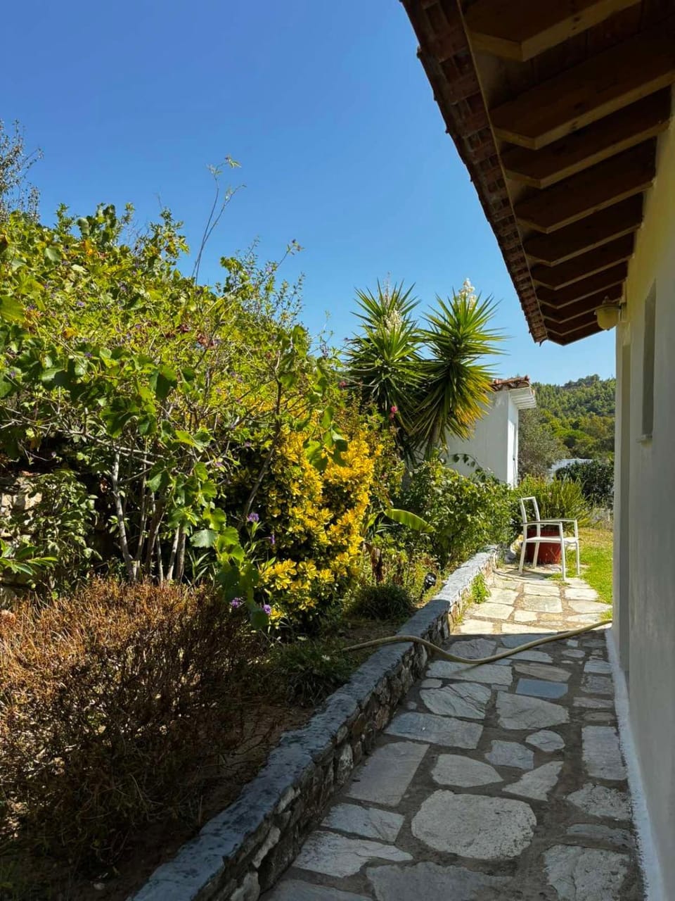 Voula Studio Apartment in Sporades, Greece