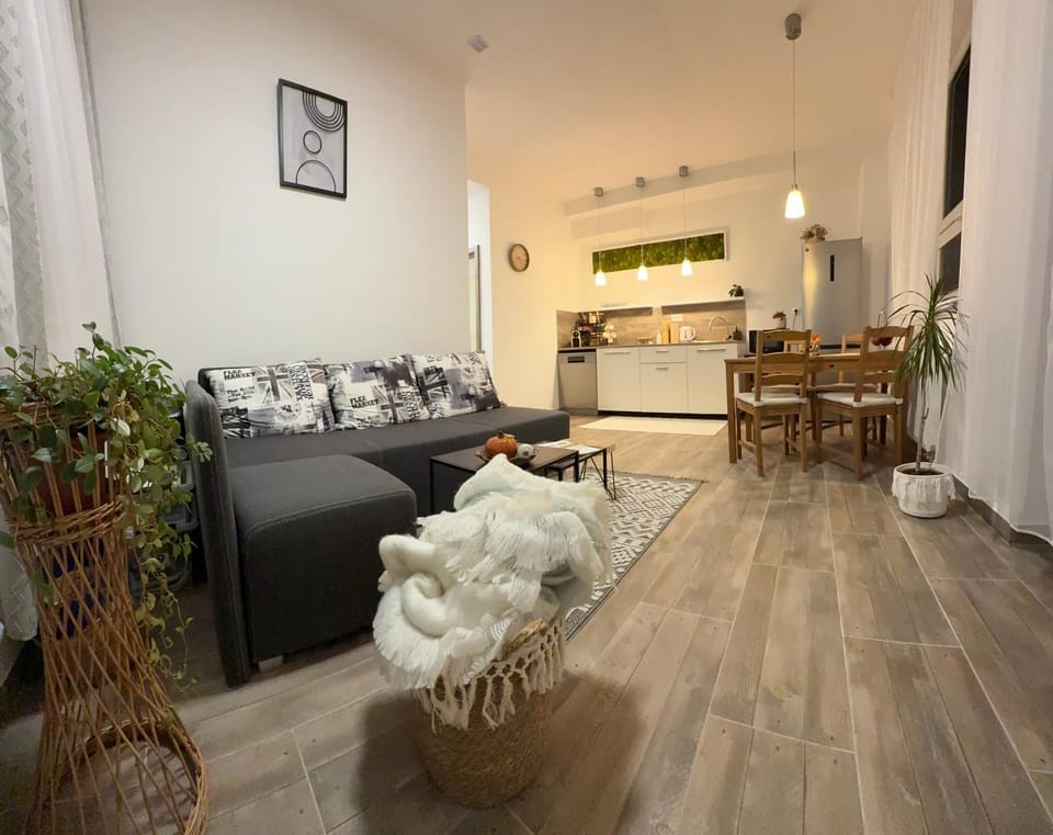 Kitchen or kitchenette, Living room, Food and drinks, Seating area