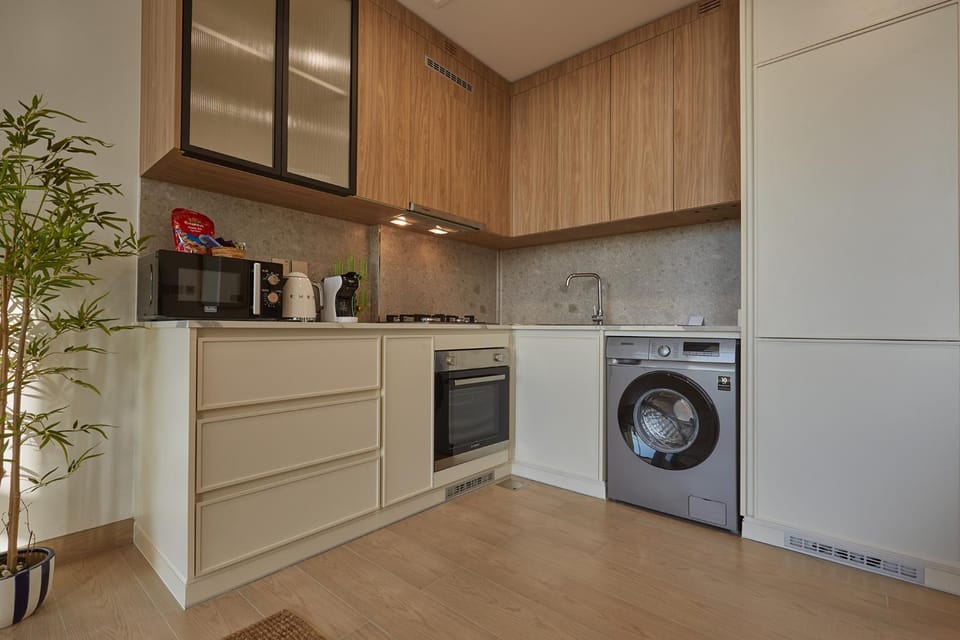 Coffee/tea facilities, Kitchen or kitchenette, oven, stove, washing machine, dryer