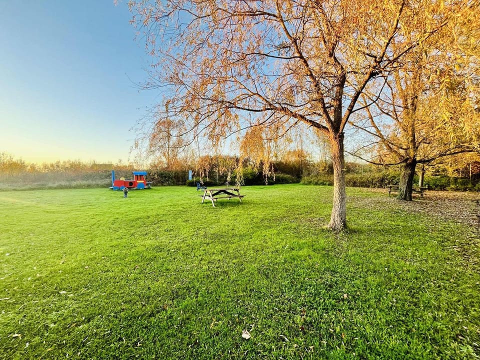Natural landscape, Children play ground