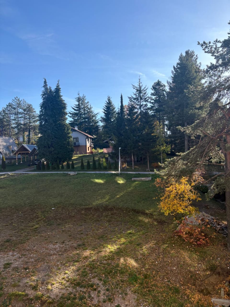 Garden view