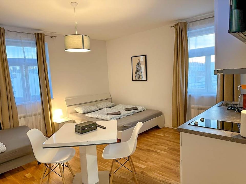 Bed, TV and multimedia, Kitchen or kitchenette, Photo of the whole room, Seating area, Bedroom