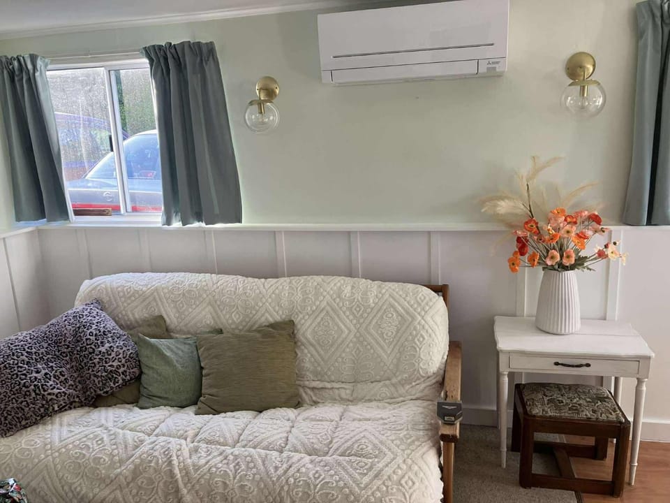 Living room, air conditioner