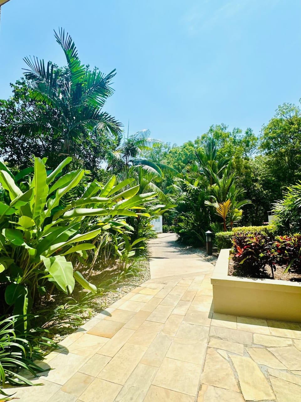 Sea Temple Apartment in Palm Cove Apartment in Palm Cove