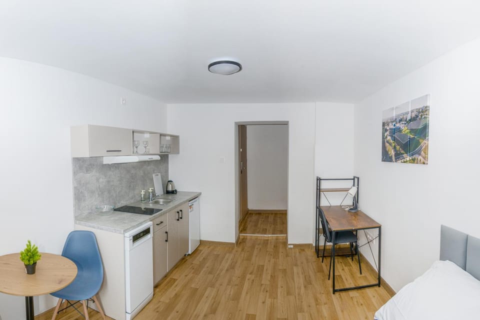 Kitchen or kitchenette, Living room, stove
