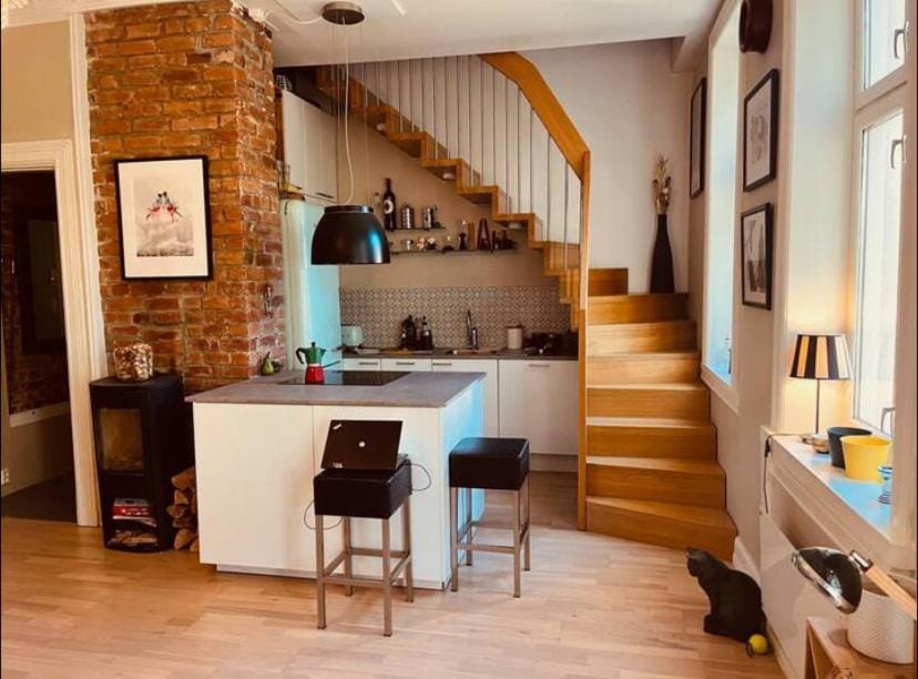 Spacious, modern apt in best part of town Apartment in Oslo