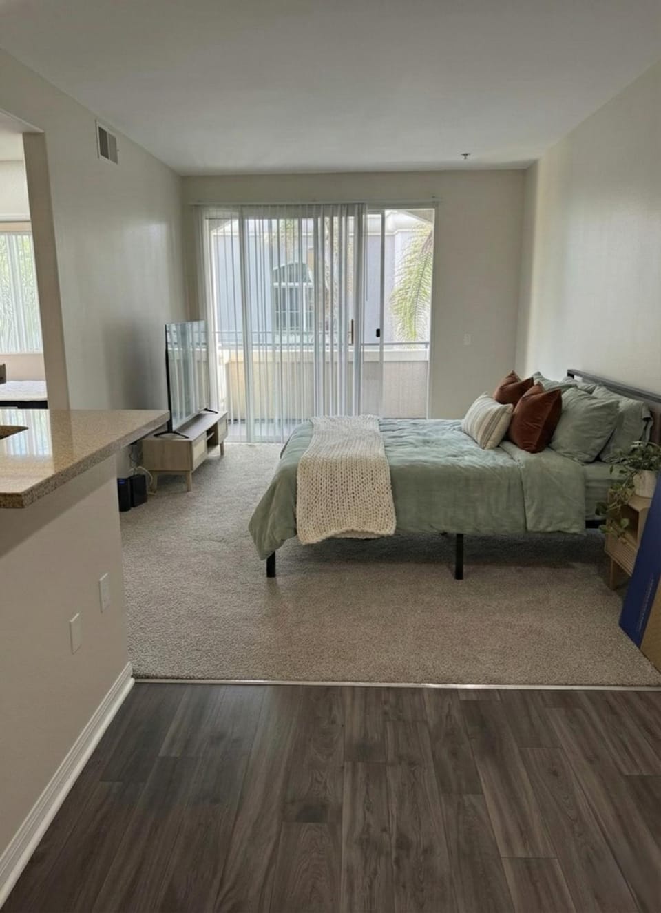 Bed, TV and multimedia, Living room, Photo of the whole room, Seating area, Bedroom