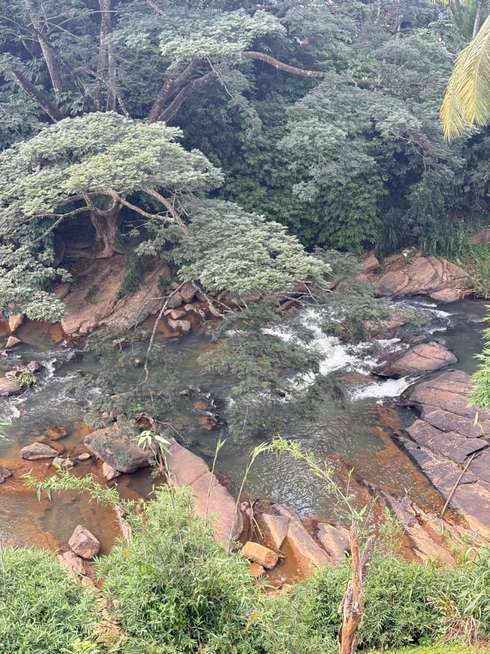 River view