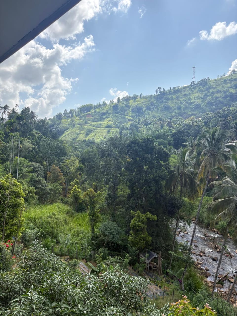 Mountain view