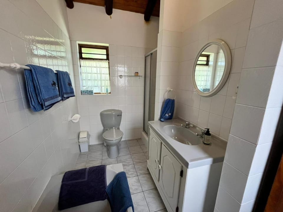 Toilet, Bathroom, towels