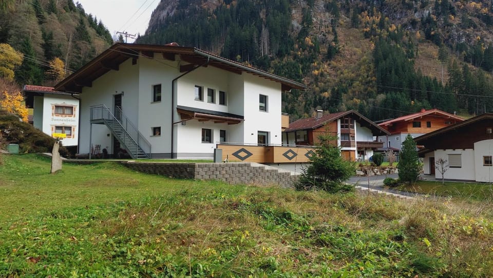 Property building, Day