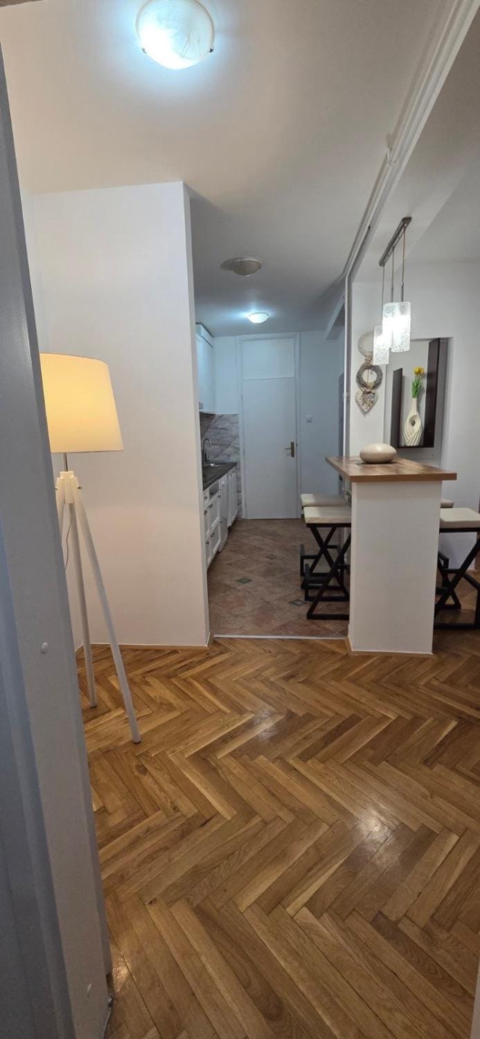Apartman Ceca Apartment in Novi Sad
