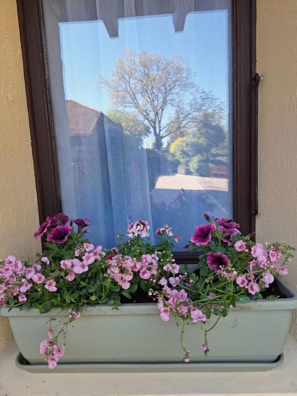 Garden, Balcony/Terrace, Garden view