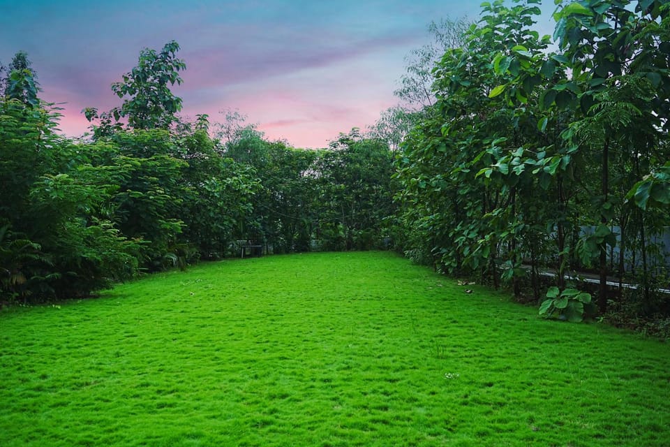 Garden view