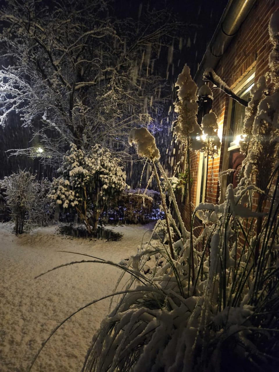 Winter