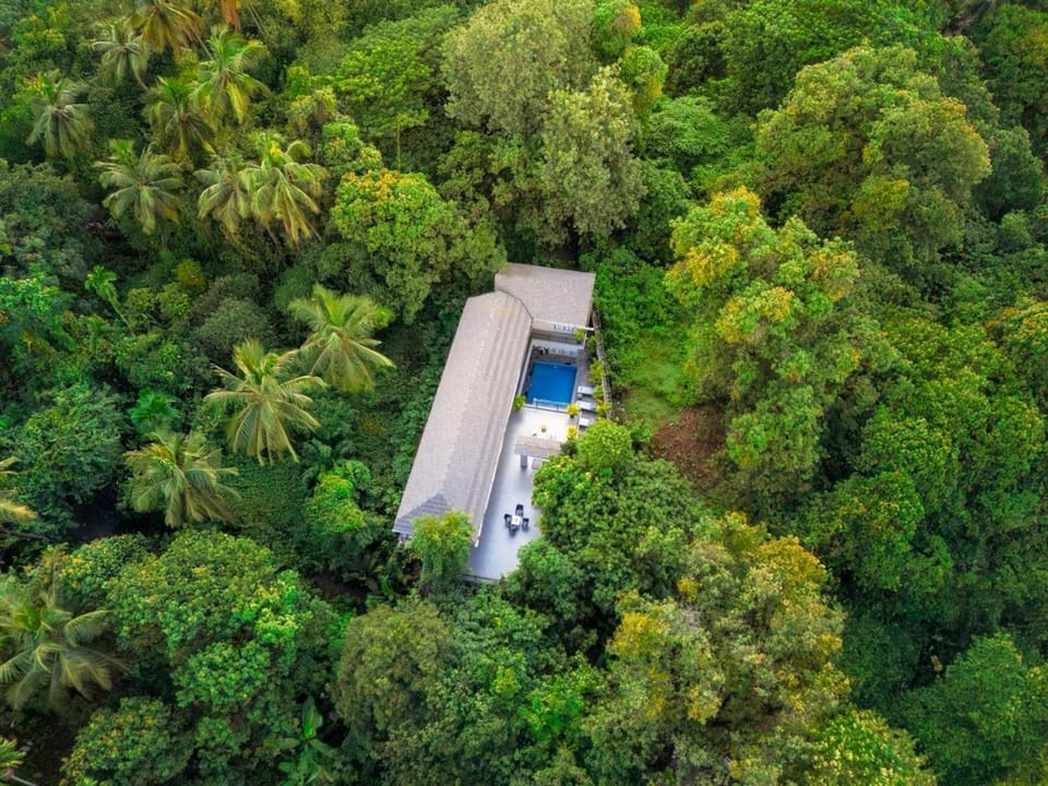 Spring, Day, Neighbourhood, Natural landscape, Bird's eye view, Garden