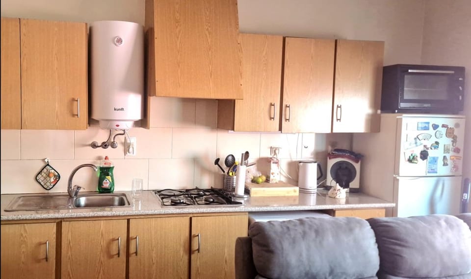 Kitchen or kitchenette, kitchen
