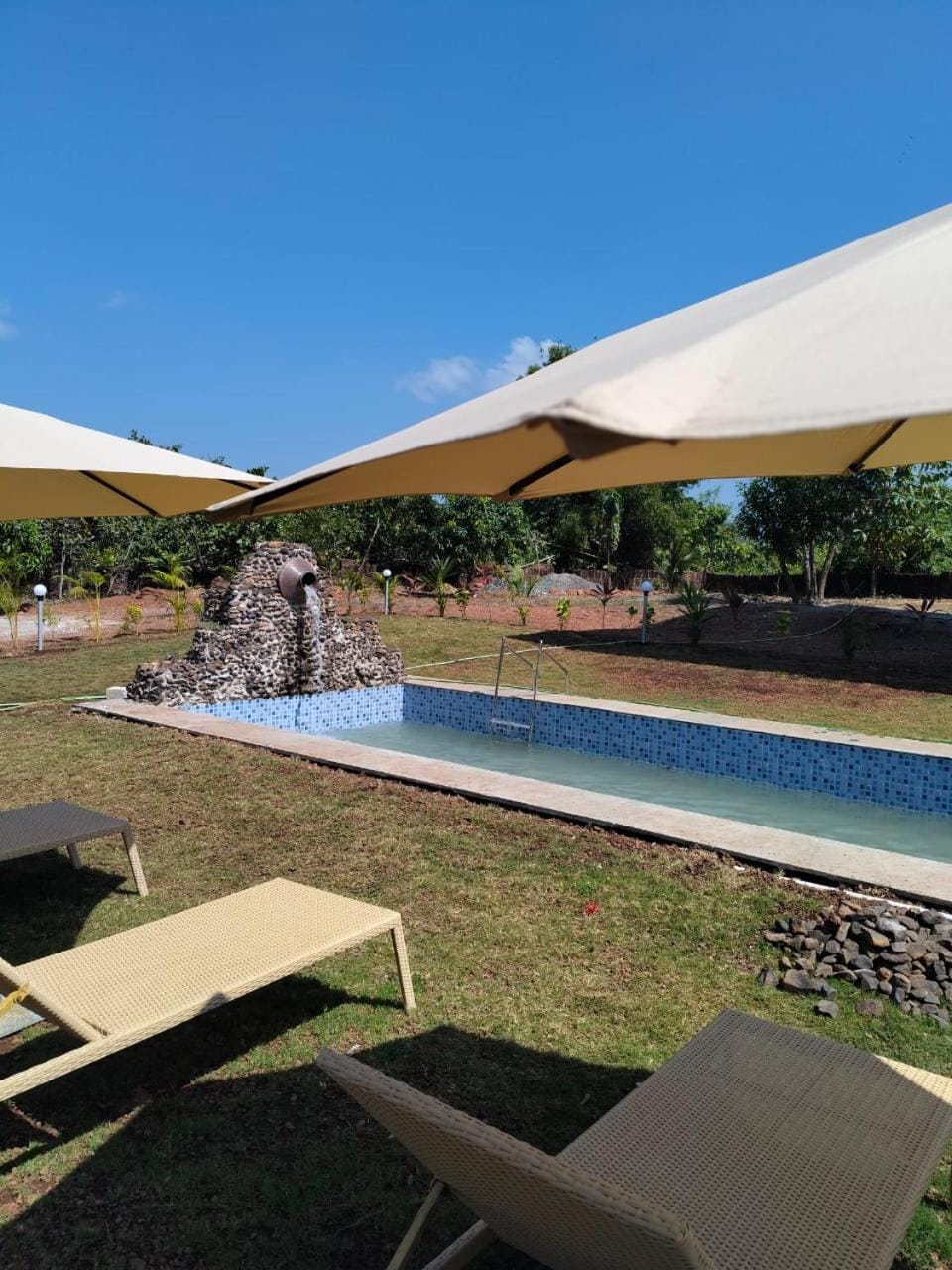 Garden, Swimming pool, sunbed