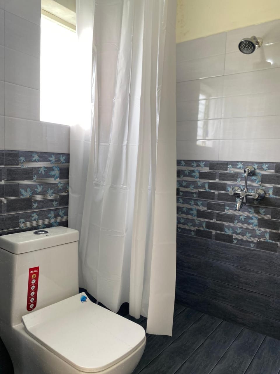 Shower, Toilet