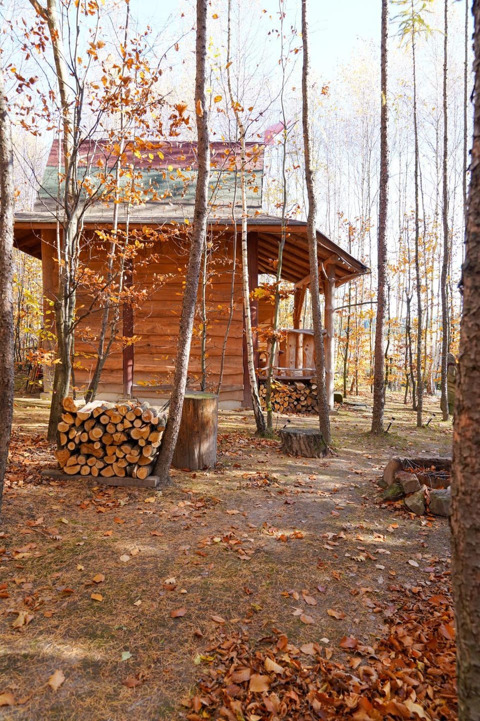 Domek Baby Jagi Prawdziwy Survival House in Poland