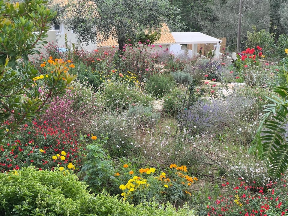 Natural landscape, Garden