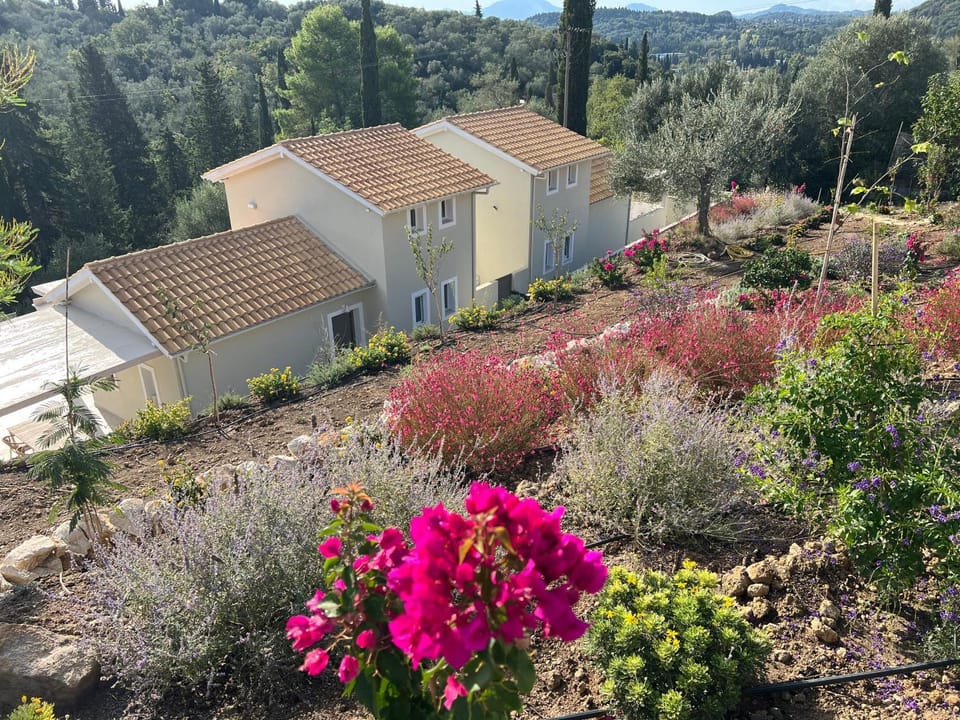 Property building, Natural landscape