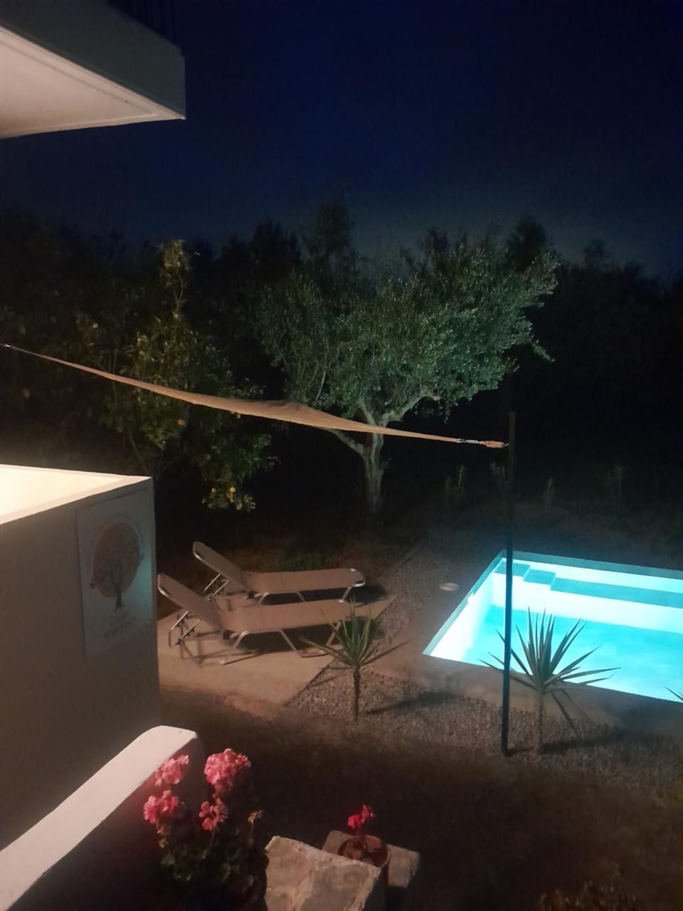 Pool view