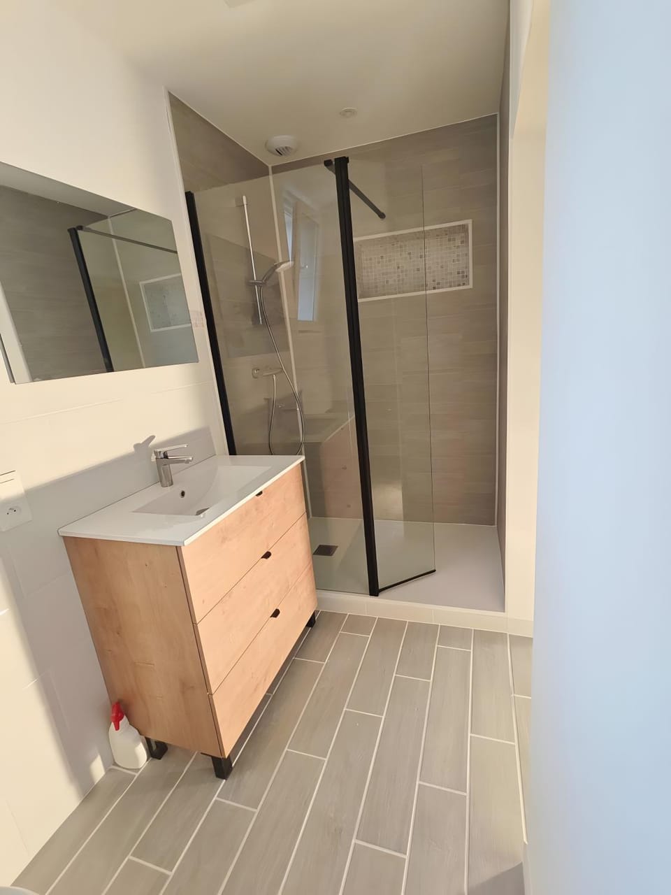 Bathroom, Living room