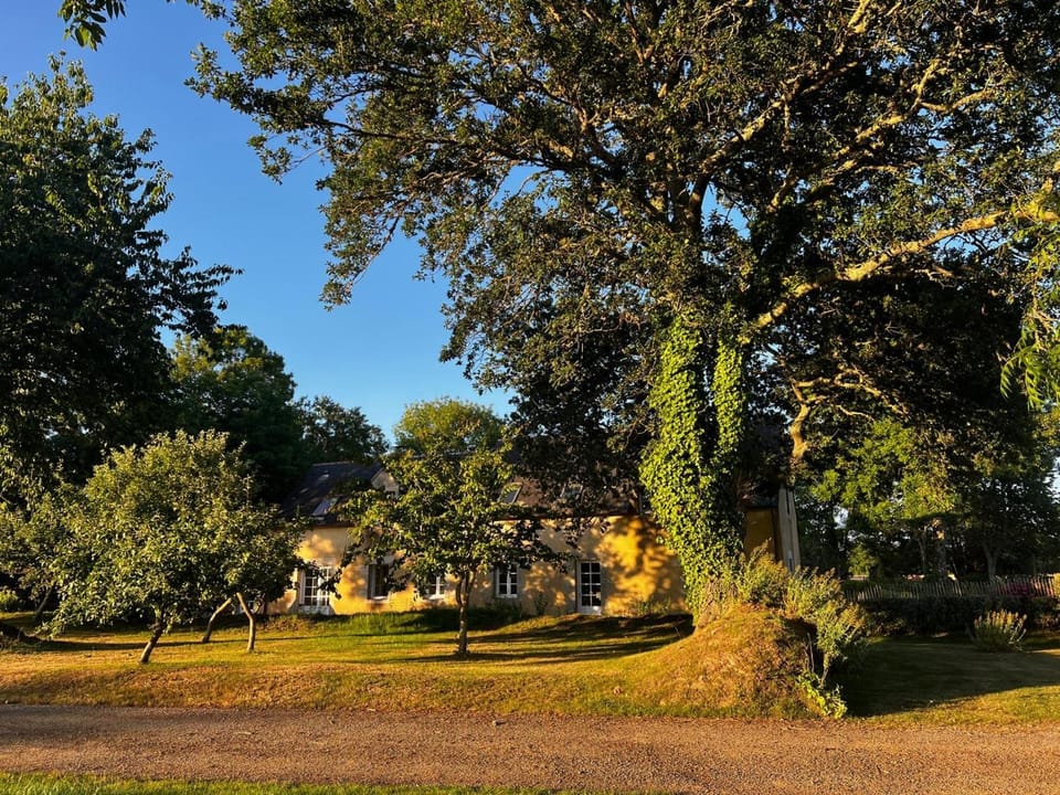 Les Cocons d'Agathe - Penn ar Gwel - en campagne à 5 min des plages House in Clohars-Carnoët
