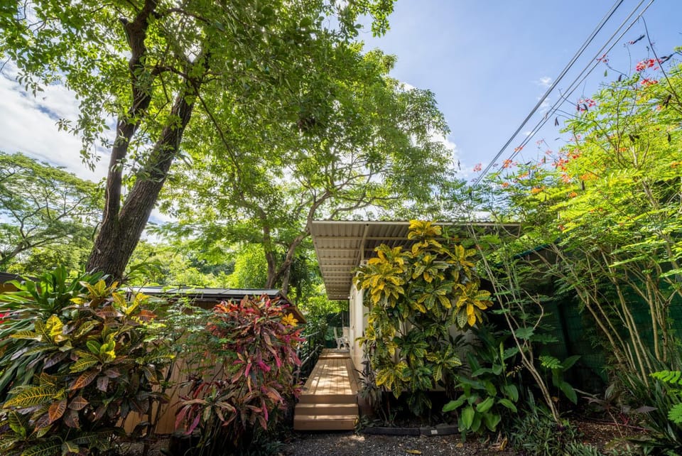 Garden view
