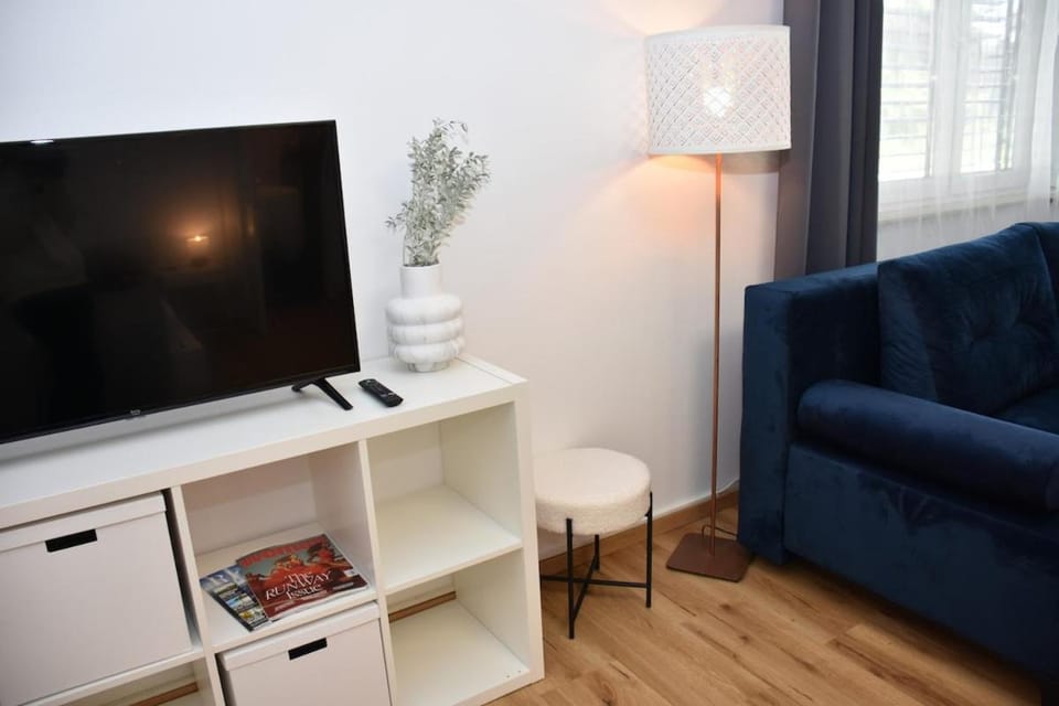 TV and multimedia