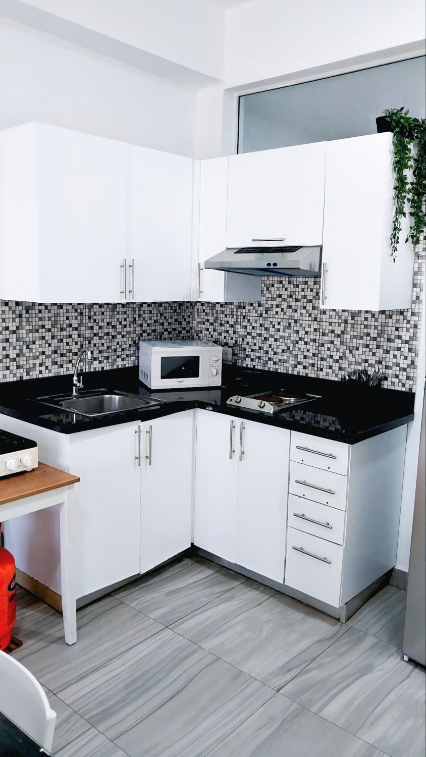 Kitchen or kitchenette, microwave, stove